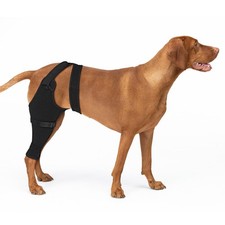 Dog Sleeve for Leg Wounds, Cone Alternative, Licking Stop, Dog Recovery, 2XL