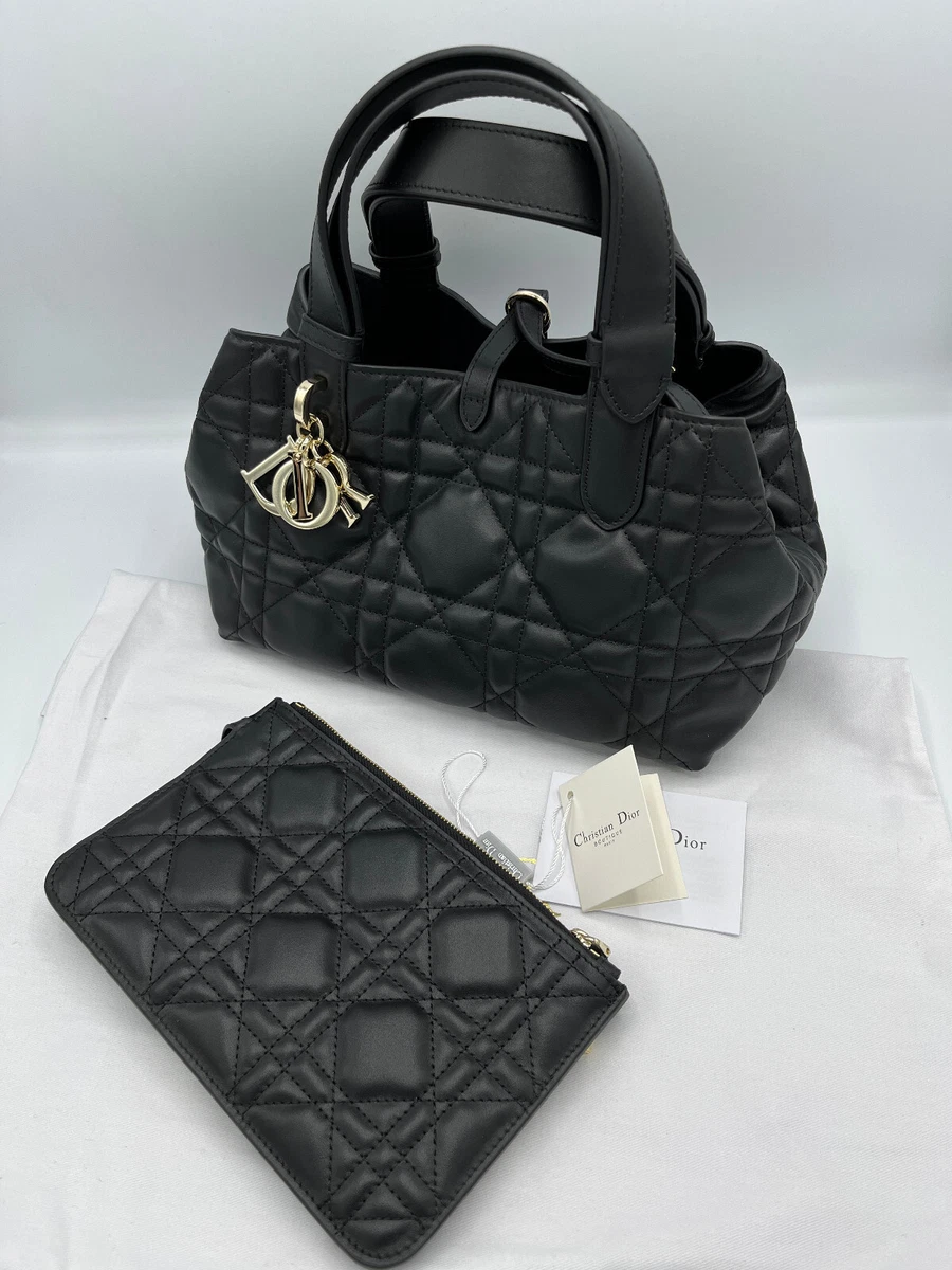 Dior Small Dior Toujours Bag