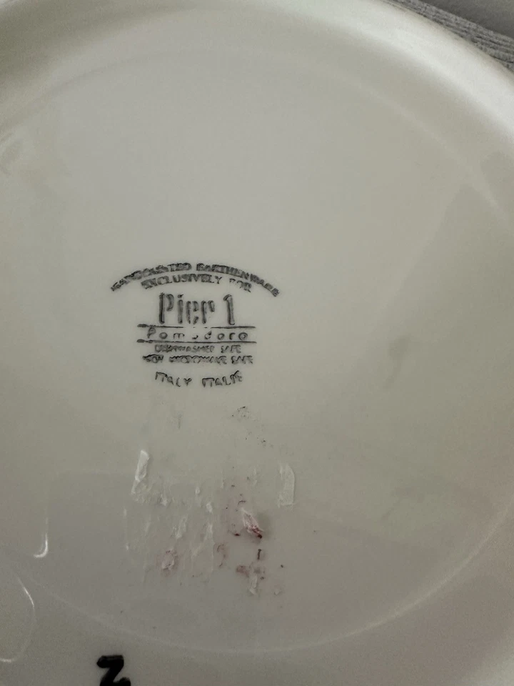 Pier 1 Importado Tigela de Macarrão Pomodora 12” Cerâmica Espaguete Itália Italiano - Imagem 4 de 4