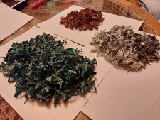 Spielzeug Minifiguren Militär Plastik 593 St Grün Braun Grau