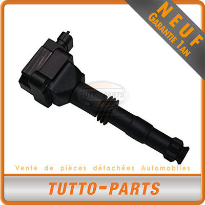 Bobine D'allumage DELPHI Pour Porsche 911 - 3.4/3.6 Carrera, GT2 - Réf GN10949-12B1 - Neuve
