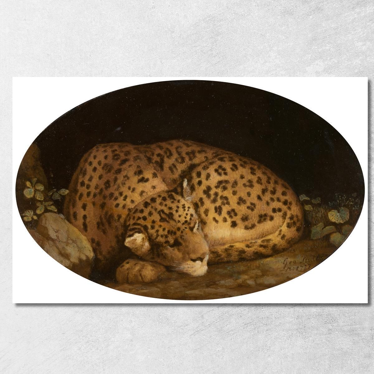 Leopardo Addormentato George Stubbs, gst37 quadro stampa su tela