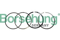 Borsehung Kolbenringsatz B10366 FüR Mercedes Klasse Model S204 W204 C204 C207