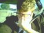 lightninharrison