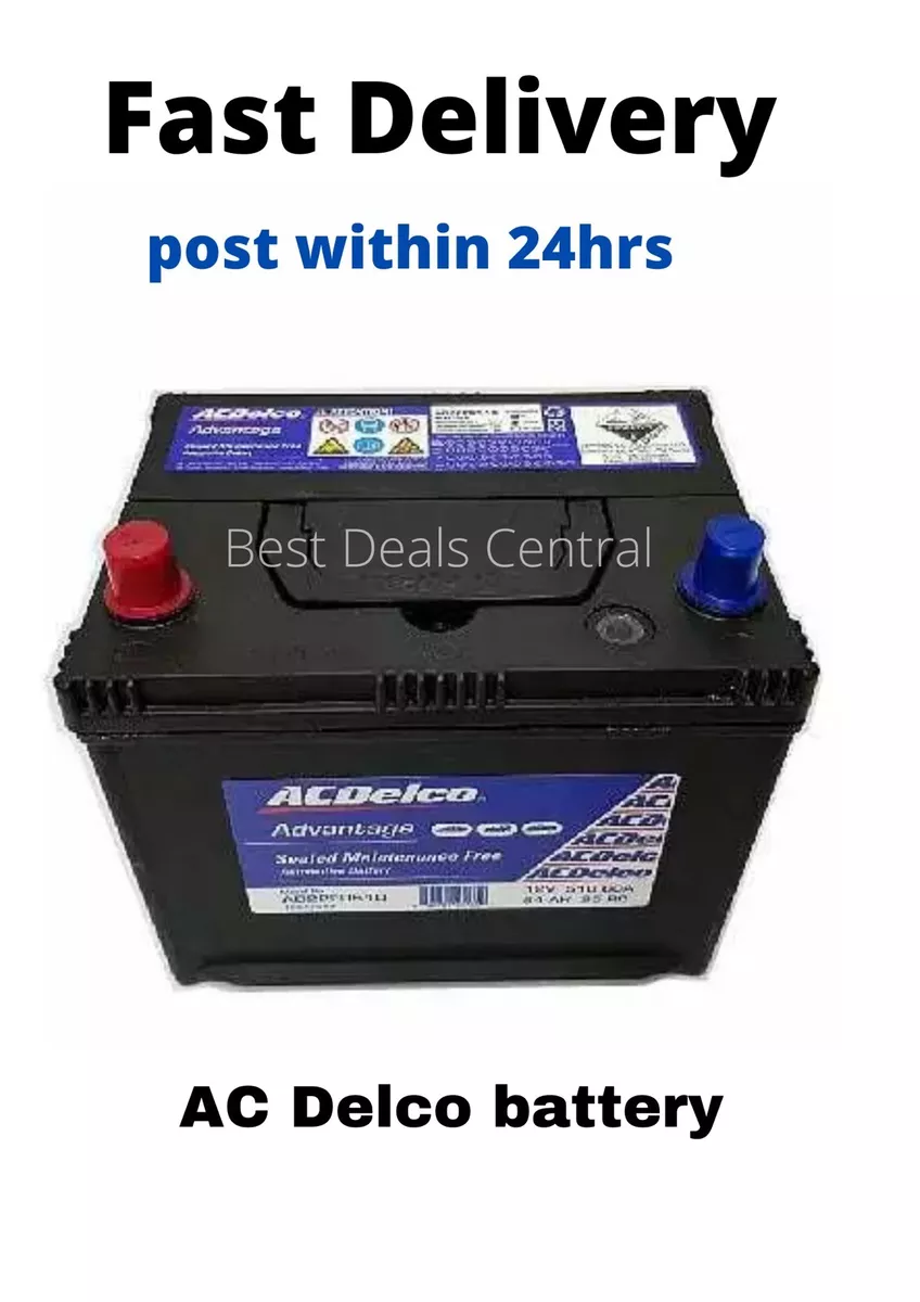 Best battery for ve commodore deals