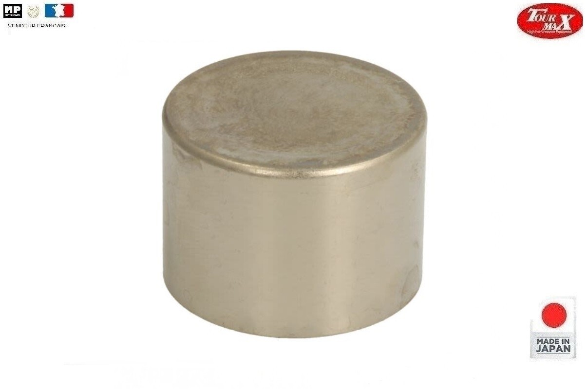 Piston de frein avant BCP-203 contre le grippage sur YAMAHA FZR 1000