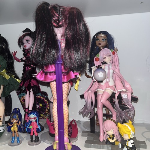 Monster high Draculaura Forbitten Love π¦π©· - Picture 6 of 9