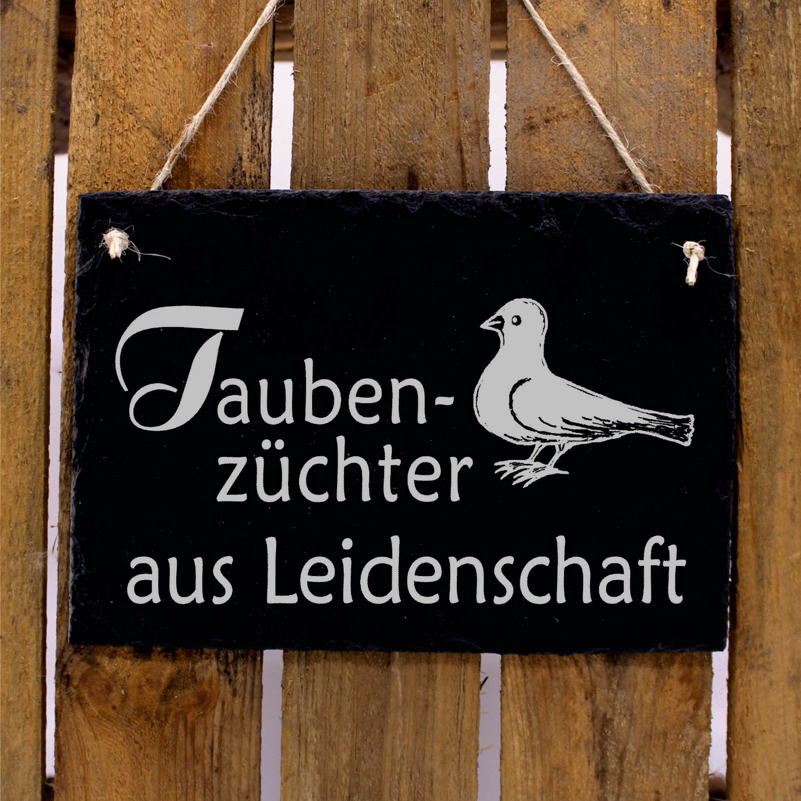 Bild 3 von 3