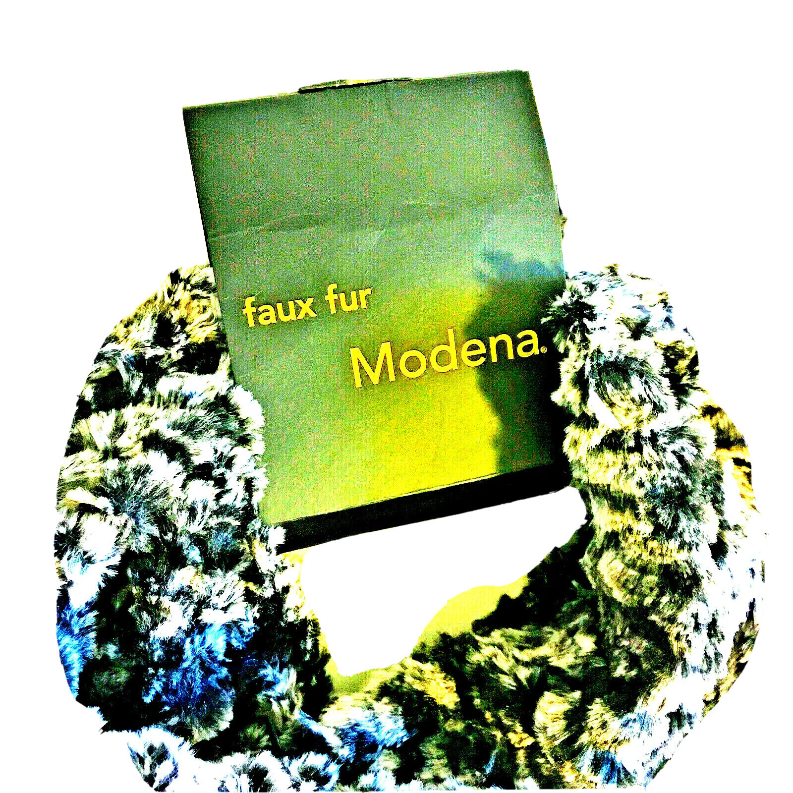 Bild 3 von 5