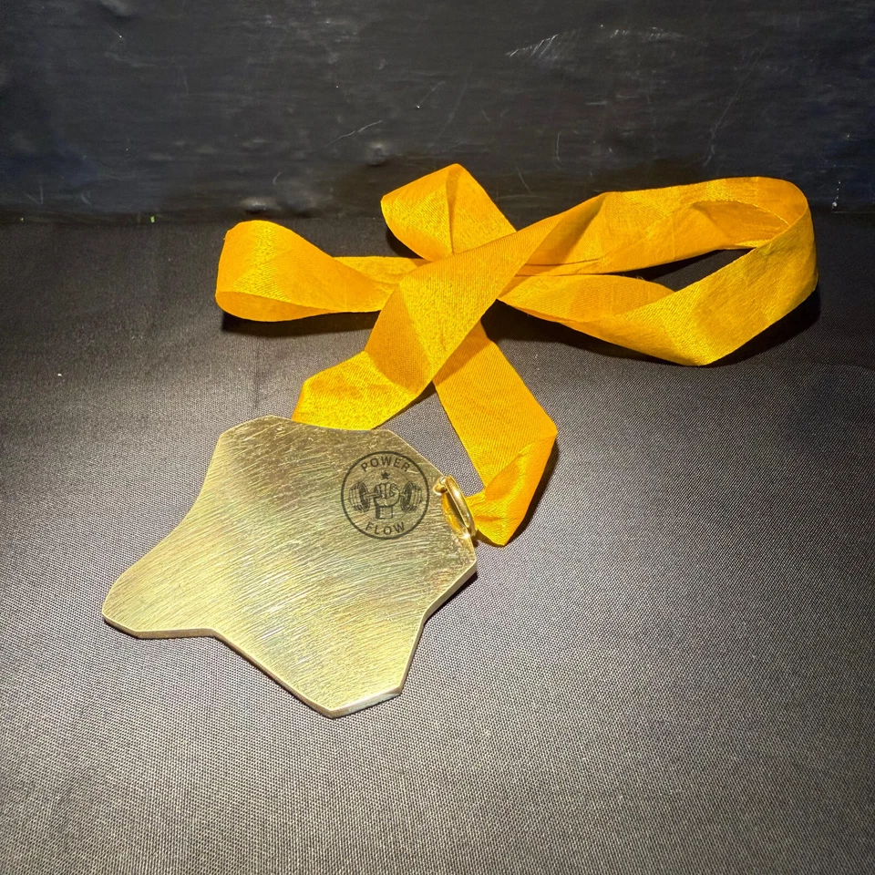 Pack de 2 Medallas Campeonato de Boxeo Anillo Revista y Medallas de Latón OMB Calidad Foto 3 de 4