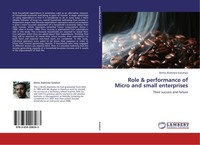 Role & Performance Of Micro And Small Enterprises Demis Alamirew Getahun
