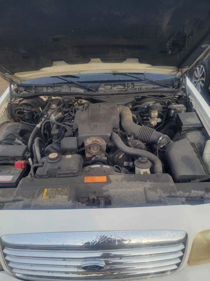 Bomba de dirección asistida para 03-11 Lincoln & Town Car 1572720 Foto 2 de 4