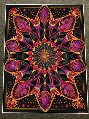Celestial Mandala Flower Poster 18x24in