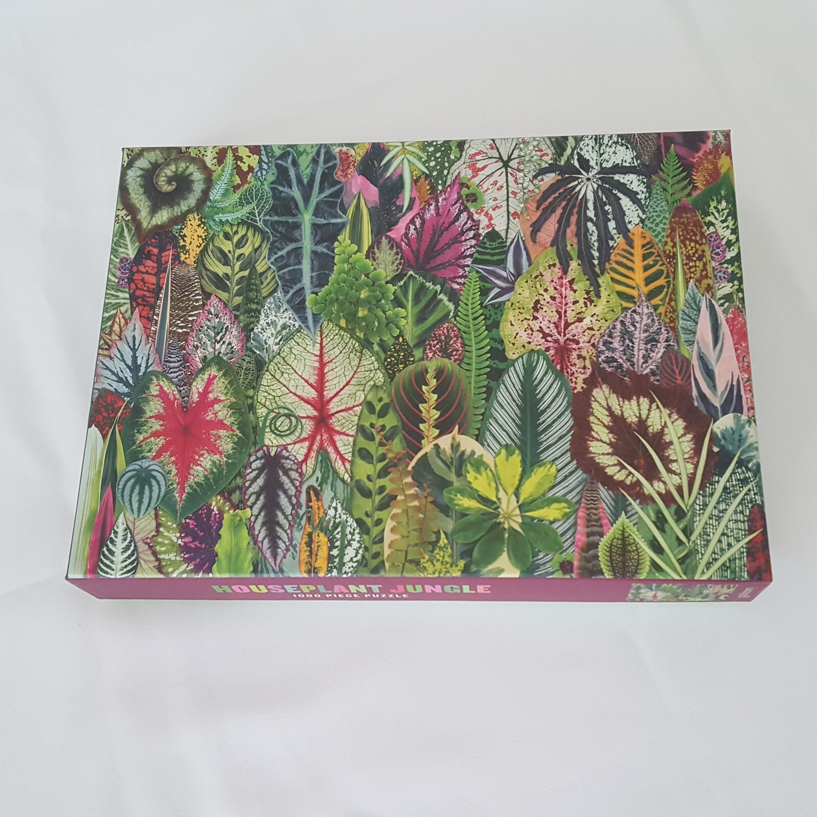 Houseplant Jungle Jigsaw Puzzle 1000 Piece Galison Puzzles 18" X 24' In Complete