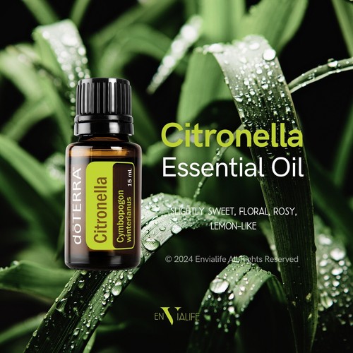 dōTERRA Essential Oils 🌈Blends Touch New 📦 Free Post AU Stock Diffuser Aroma - Picture 89 of 519
