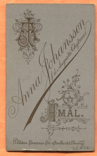 CDV Amal Sweden, Portrait of a Family by Johansson circa 1890s Backstamp - Picture 2 of 3