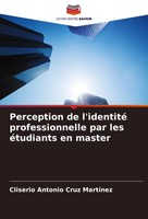 Perception De L'identité Professionnelle Par Les éTudiants En Master MartíNez