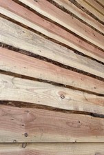 Live Edge Red Cedar Cladding 4.8m