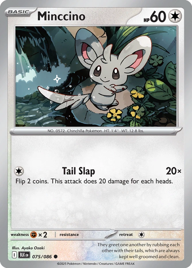 Minccino Pokémon TCG Cards for sale | eBay