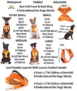 litter box deodorizer