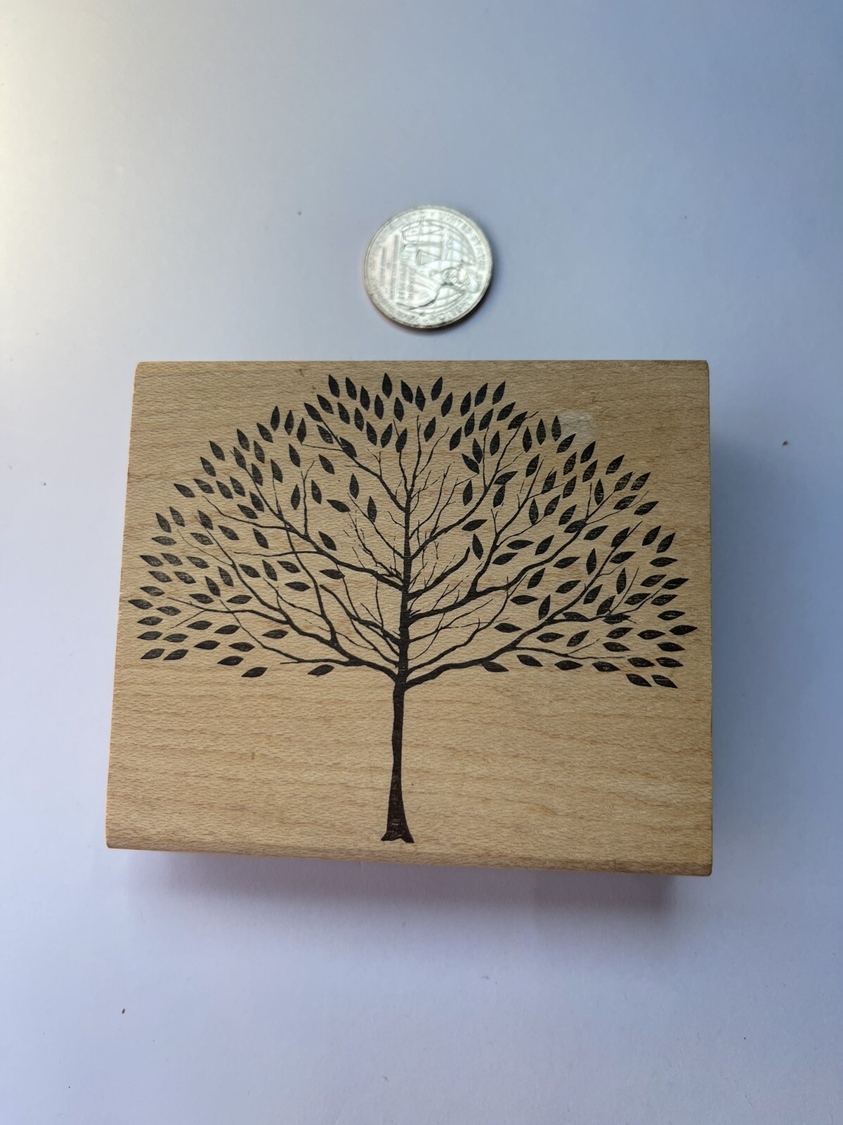 Vintage MEMORY BOX Brilliant Tree Rubber Stamp with Free Shipping
