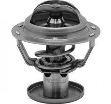 Thermostat Jaguar E