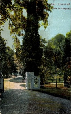 Postcard Bad Lippspringe in Westphalia, spa garden, entrance gate, trees, path - 4989009