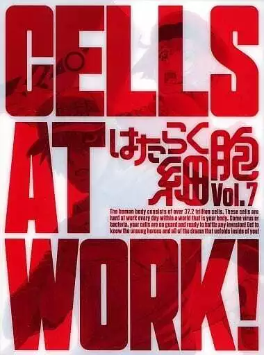 Cells at Work! Blu-ray