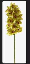 Realistic ORCHID CYMBIDIUM FULL STEM Green Set of 4 41.5'' H X 9'' W X 9'' D