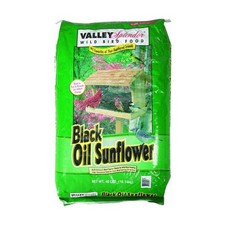 Black Oil Sunflower Seeds, 40 lbs 40 Pound Pack of 1 