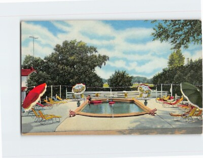 #ad #ad Postcard Swimming Pool At Mt Vernon Motel Ocala Florida $4.95