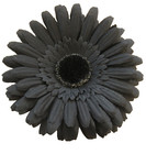 4 1/2" Goth  Black Gerbera Daisy Flower Combo Hair Clip & Brooch Pin Halloween — photo 1