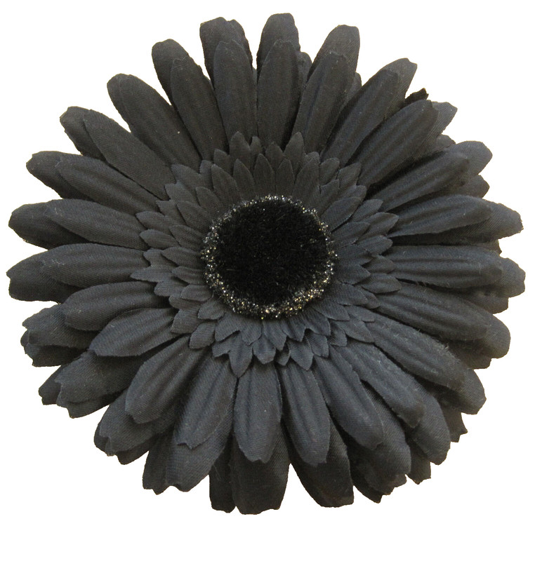 4 1/2" Goth  Black Gerbera Daisy Flower Combo Hair Clip & Brooch Pin Halloween