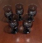 Pfaltzgraff Yorktowne Blue Goblets: Floral Etched Glasses Set of 5 -8oz. VTG