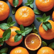 Water Mint  Clementine