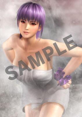 Dead Or Alive5 Last Round Ps4 8 Types Of Bath Posters | eBay