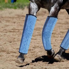 4x jambières anti-mouches pour chevaux protège-jambes équipement de