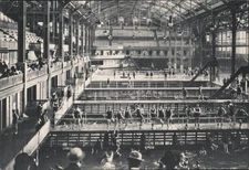 San Francisco,CA Interior of Sutro Baths,Spectator's View California Postcard