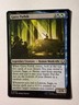 MTG - Guru Pathik  - Avatar: The Last Airbender NM/M Condition