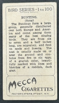 indigo cigarettes Mecca Cigarette Card Tobacianna Bird Series 1-100 Indigo Bunting Card