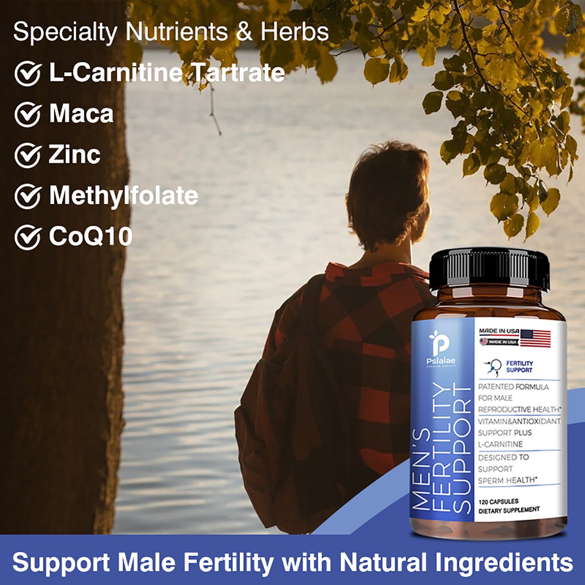 l-carnitine and coq10 for fertility Men's Fertility Support - L-Carnitine,Maca - Male Reproductive Health,  Stamina