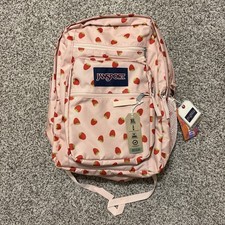 JanSport Laptop Backpack Strawberry Shower 15...