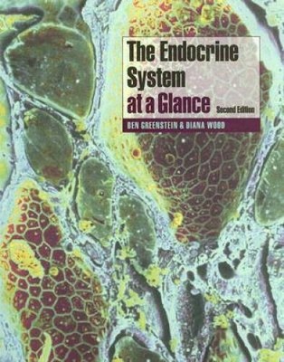 The Endocrine System at a Glance - Paperback By Greenstein, Ben - GOOD