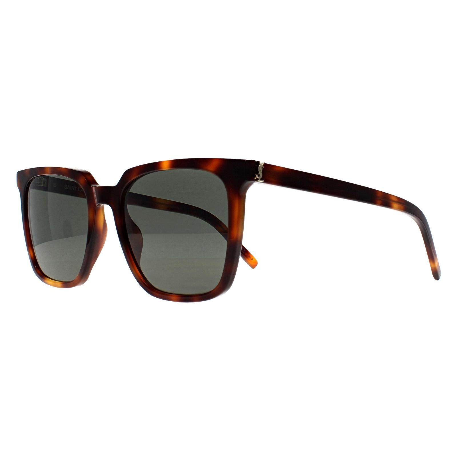 Occhiali da sole Saint Laurent SL M146 003 grigio avana