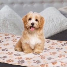 Pet Blanket, Flannel Paw Printed Throw Blanket,21x30 Inches, White, 1 Pack 3 