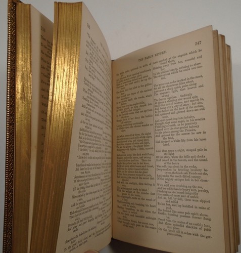 1877 POETISCHE WERKE von OWEN MEREDITH (Lord LYTTON) DEKORATIVES Bindungsleder - Bild 10 von 12