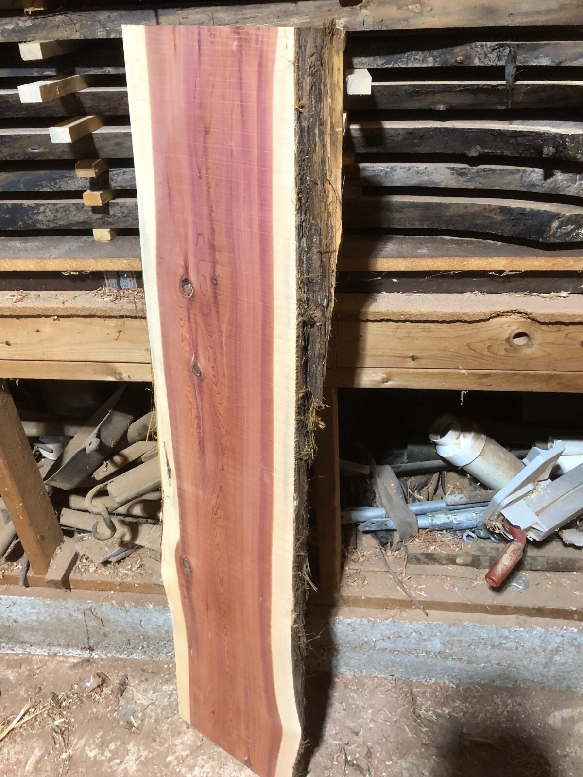Aromatic Eastern Red Cedar Live Edge Slab Rustic Natural Edge Wood