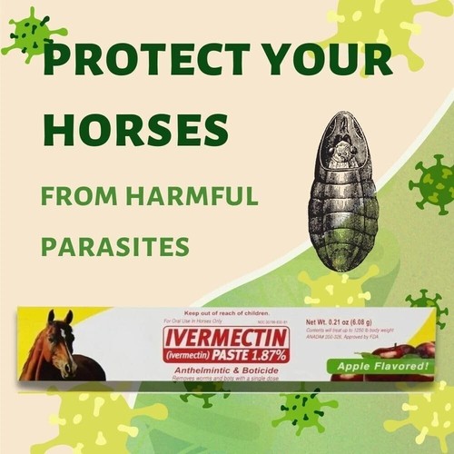 1/3/5/10 PACK DurVet Apple-Flavored Horse Dewormer Paste Dur-vet Wormer 6.08g - Picture 3 of 12