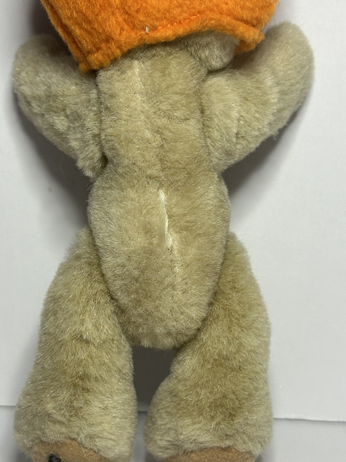 Picture 5 of 9
