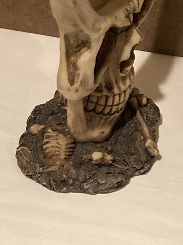 Skull With Mirror - Bones At Base - 10” Tall - Weighs Approximately 18oz - Bild 4 von 8